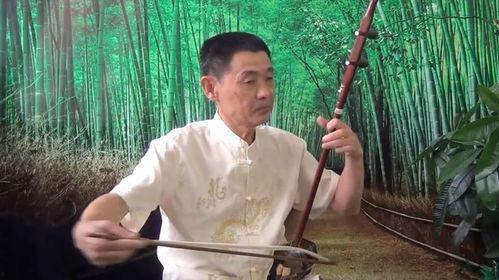 二胡良宵独奏视频