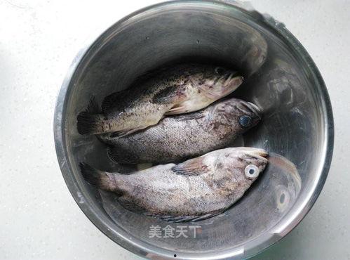 黑鱼的切片视频教程,轻松掌握高效剪辑技巧