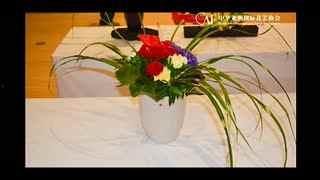 简单插花视频