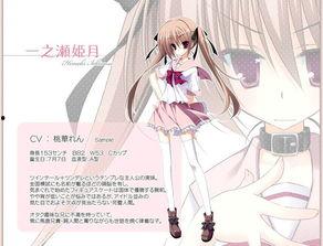 妹调教视频,从入门到精通的实用指南