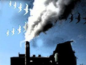 空气污染的视频,视频深度解析