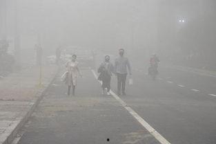 空气污染的视频,视频深度解析