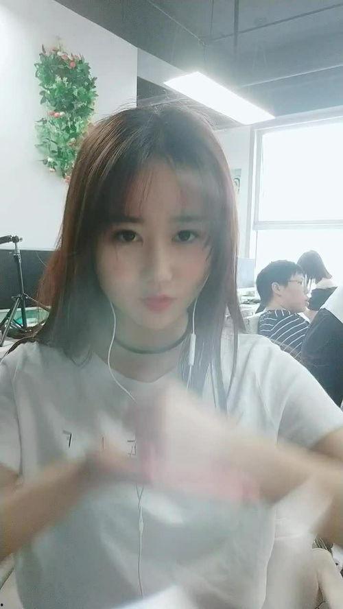 小茄子视频,揭秘生活趣味瞬间,带你领略人间烟火气